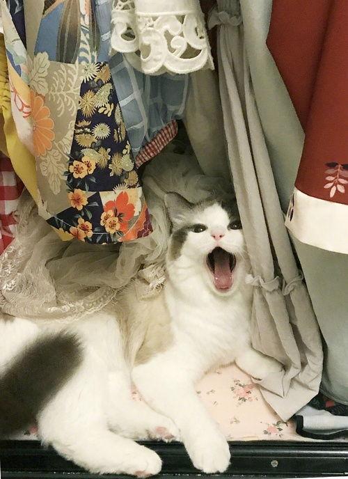 瓜瓜基地 最近热门事件合集吃瓜兔